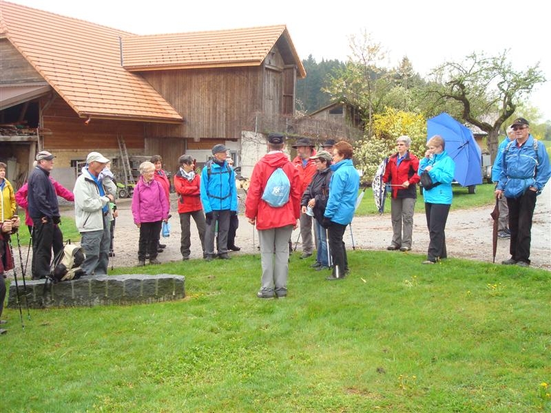 Bild 029 (Medium)